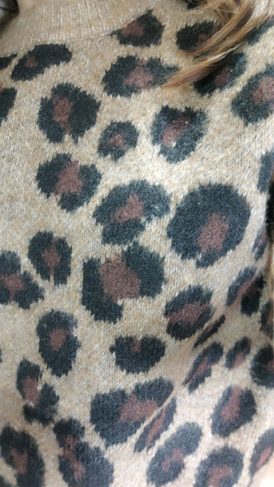 Pull léopard