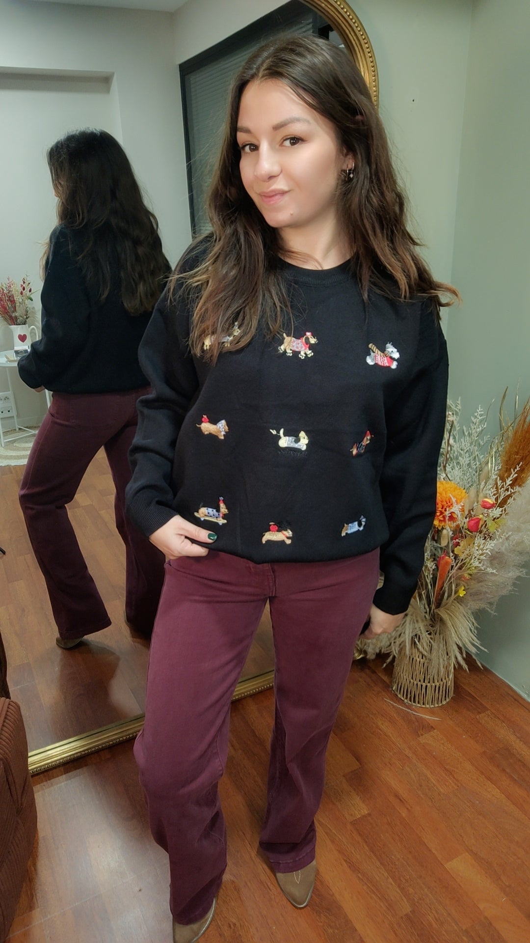 Pull noir chien