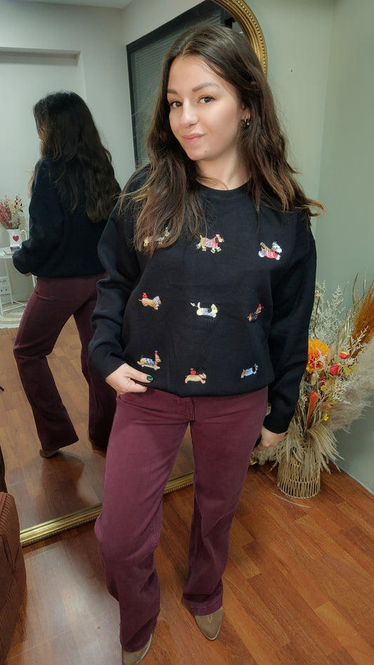 Pull noir chien